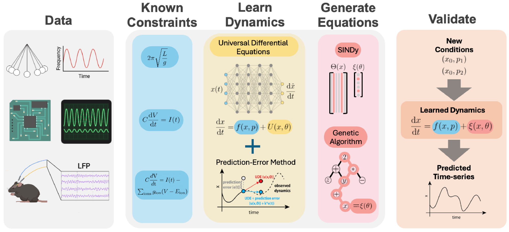 Schematic of the approach presented here. We begin with observations of a physical or biological system that have some time-varying activity (data). From these, we adapt prior work to form an initial description of the system under observation (known constraints). We then fit a UDE to describe the unknown portion of the dynamics that are not described by this initial estimate of the physical system, adapting the prediction-error method to assist in training UDEs on chaotic systems (learn dynamics). Finally, we learn a symbolic form of the dynamics described by the UDE (generate equations) and show that this symbolic form makes correct predictions of future activity beyond the initial observations in the system (validate).